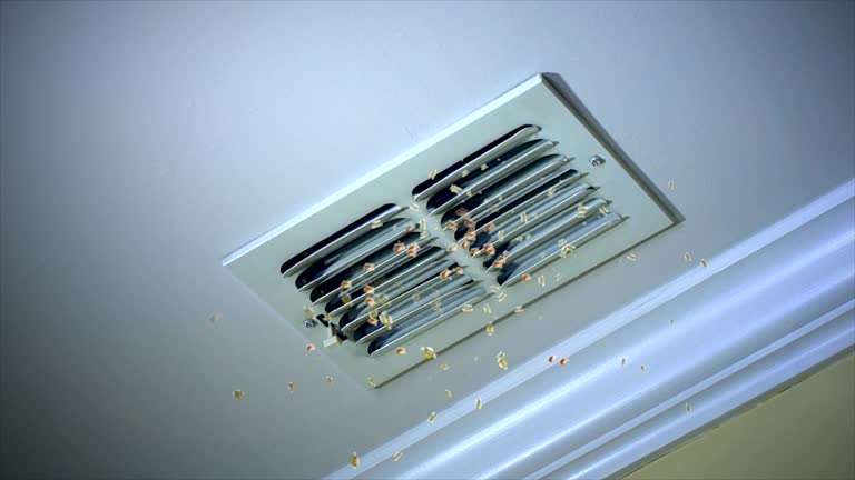 Best Commercial HVAC Duct Cleaning  in Bayou Gauche, LA