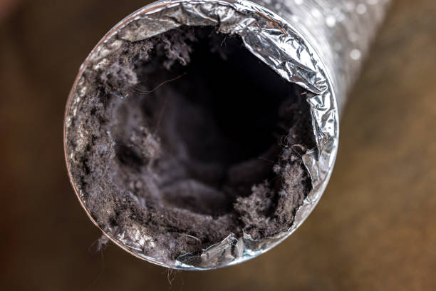 Best Emergency Air Duct Cleaning  in Bayou Gauche, LA
